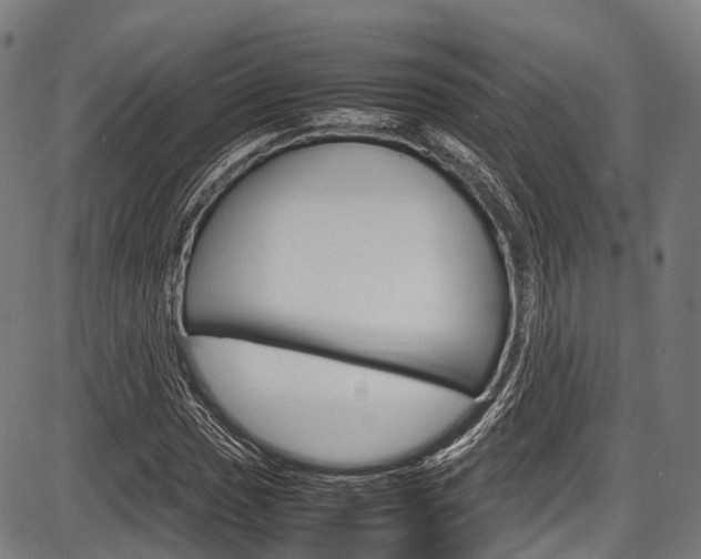 X0000087621017200704271131