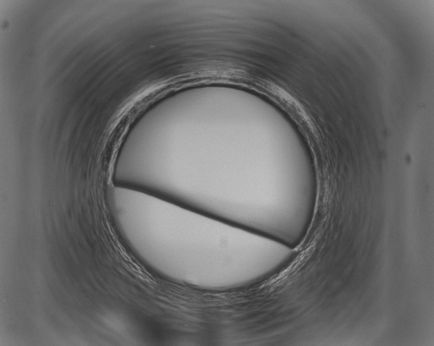 X0000087621019200704271131