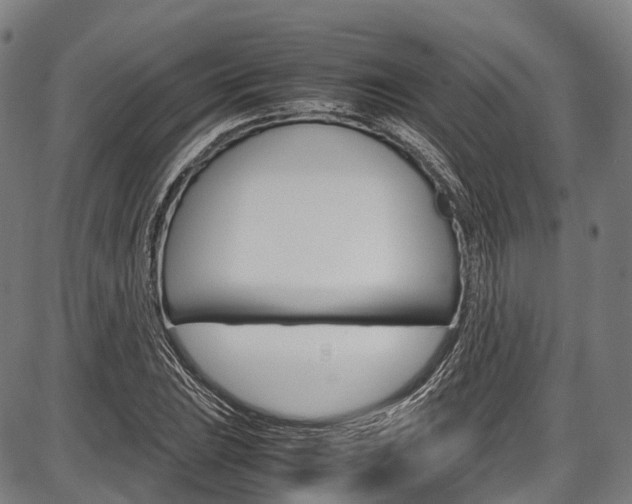 X0000087621023200704271132
