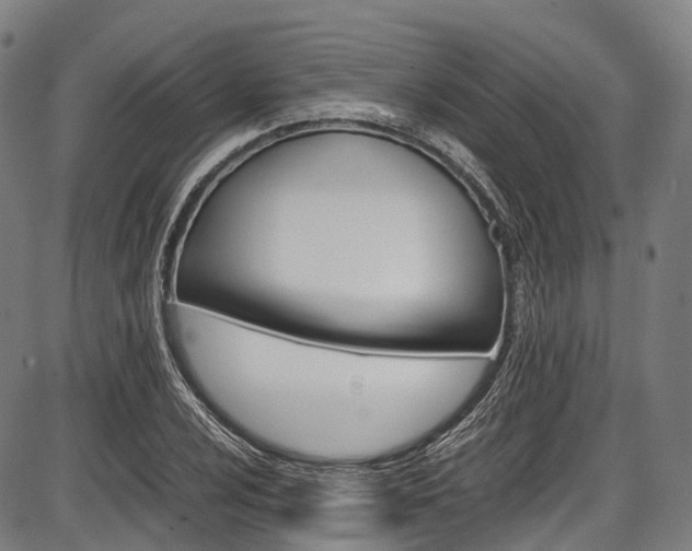 X0000087621024200704271132