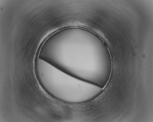 X0000087621032200704271132