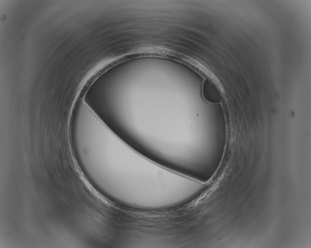 X0000087621037200704271132
