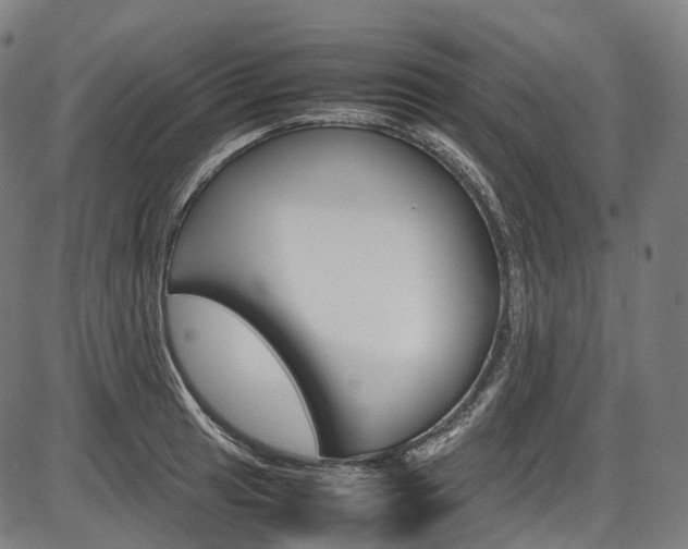 X0000087621041200704271132