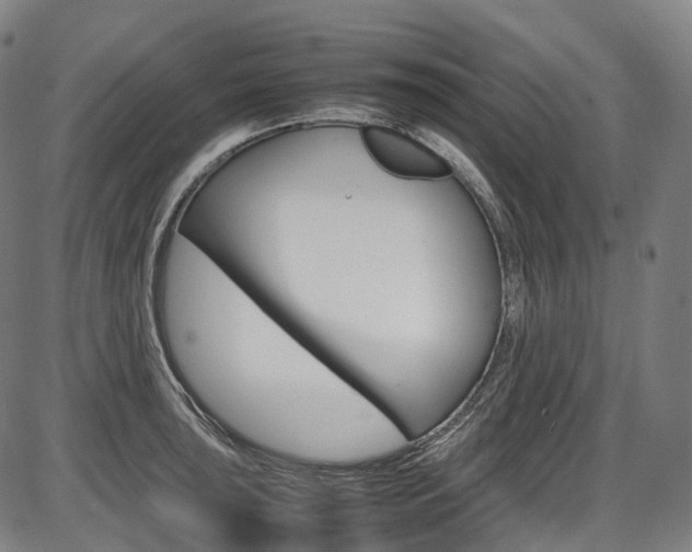 X0000087621043200704271132