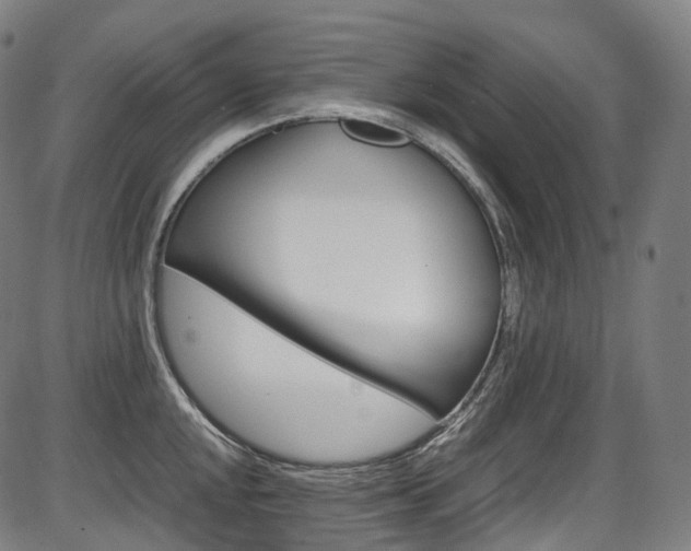 X0000087621048200704271132