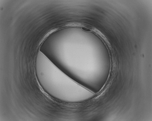 X0000087621049200704271132