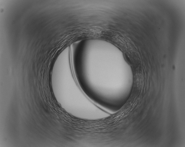 X0000087621057200704271131