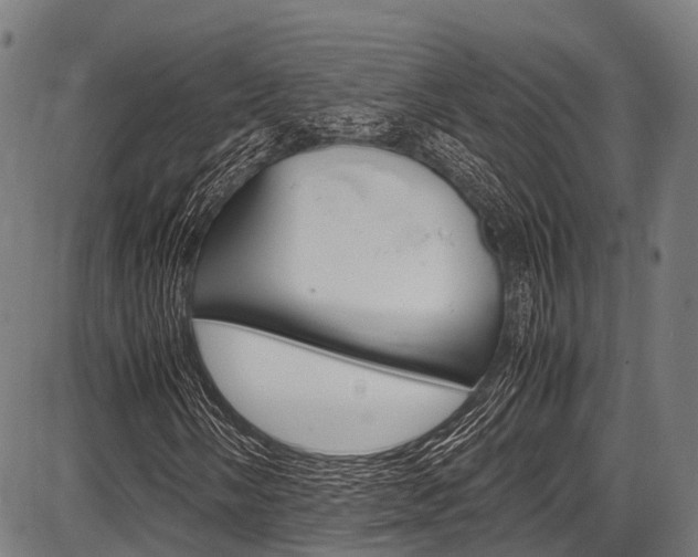 X0000087621058200704271131
