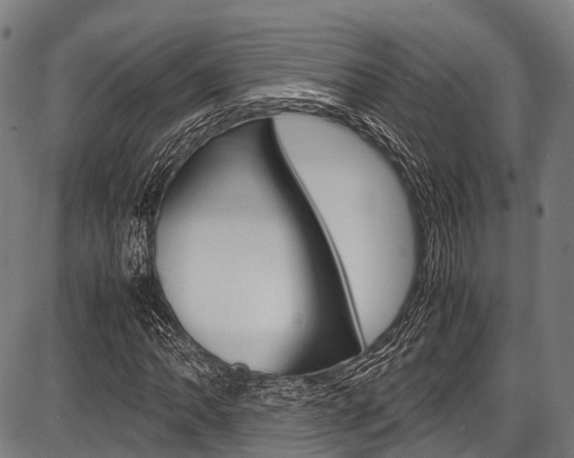 X0000087621062200704271131