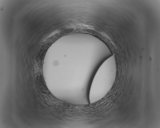 X0000087621063200704271131