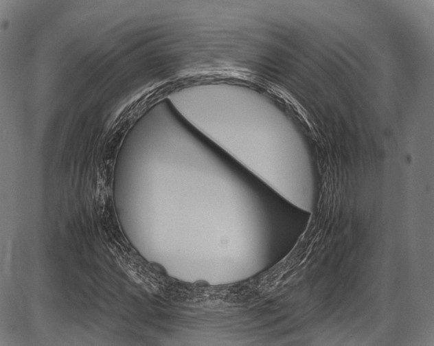 X0000087621064200704271131