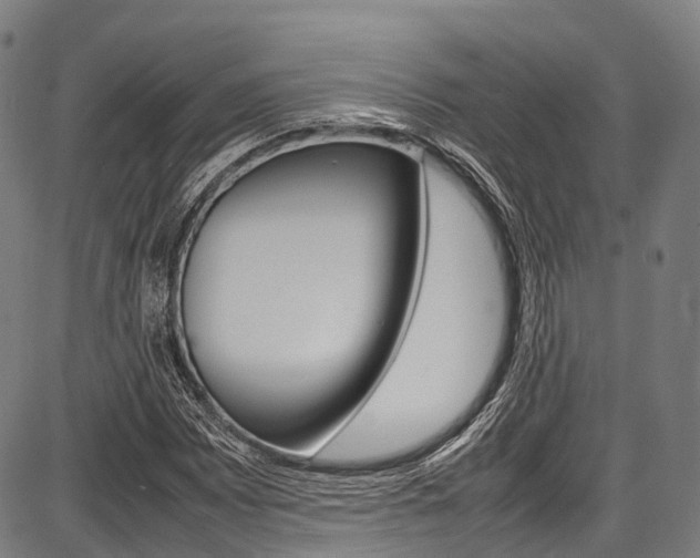 X0000087621065200704271131