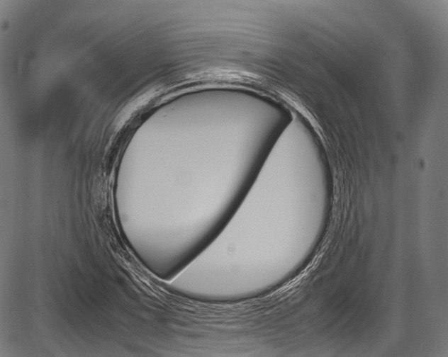 X0000087621067200704271131