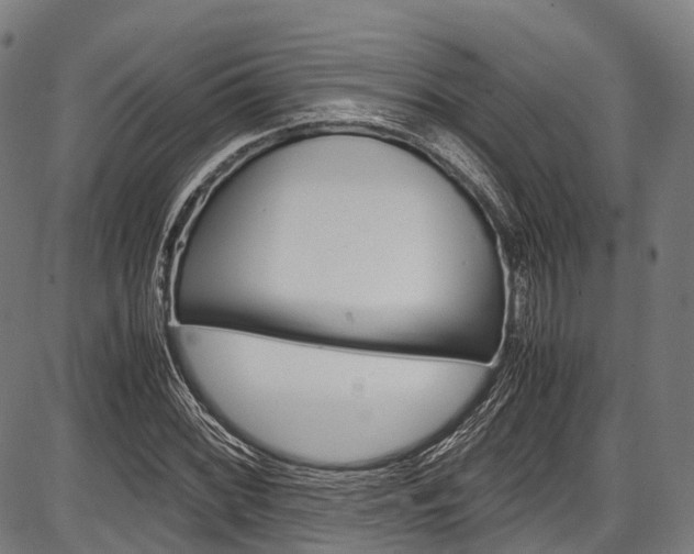 X0000087621068200704271131