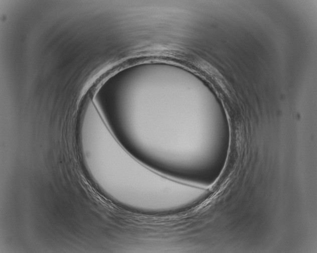 X0000087621069200704271131