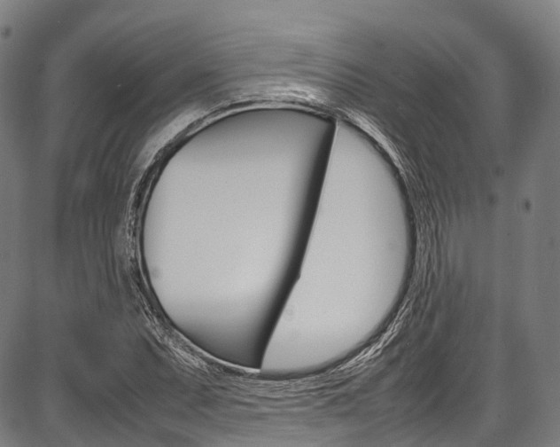 X0000087621071200704271131