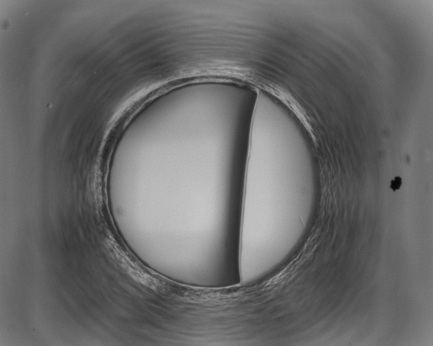 X0000087621072200704271131