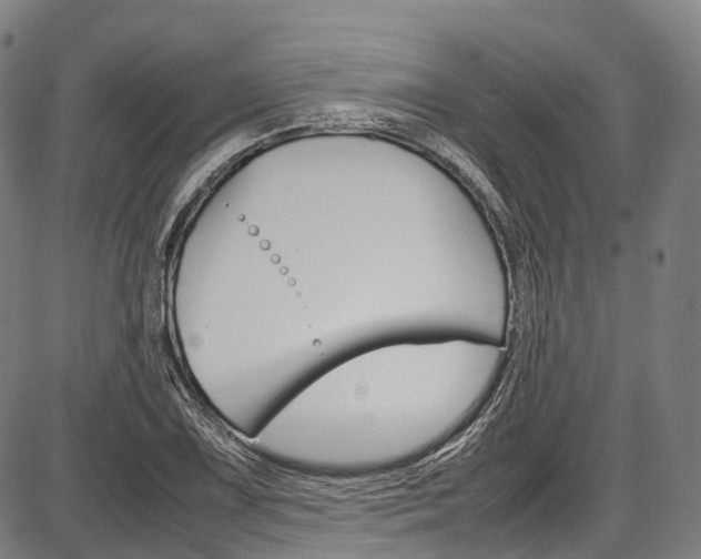 X0000087621075200704271131