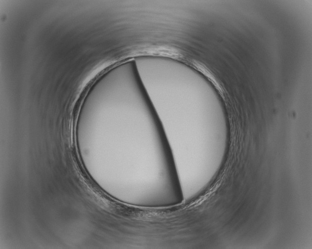 X0000087621079200704271131