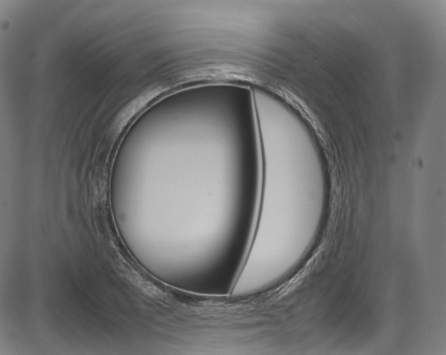 X0000087621081200704271131