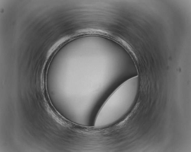 X0000087621082200704271131