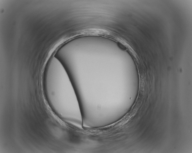 X0000087621083200704271131