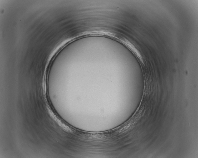 X0000087621084200704271131