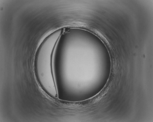 X0000087621085200704271131