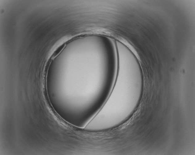 X0000087621093200704271131