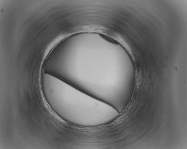 X0000087621096200704271131