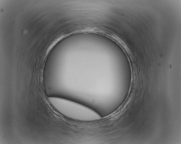 X0000087621097200704271131