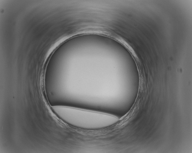 X0000087621101200704271131
