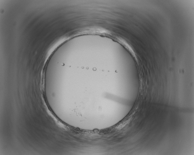 X0000087621103200704271131
