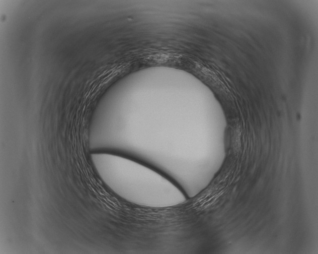 X0000087621105200704271130