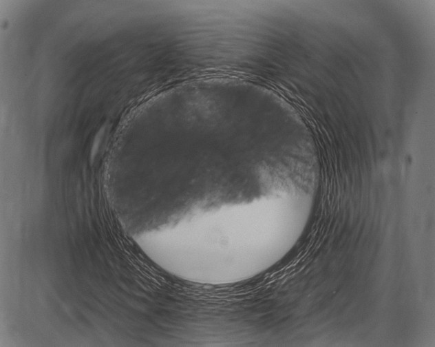X0000087621106200704271130