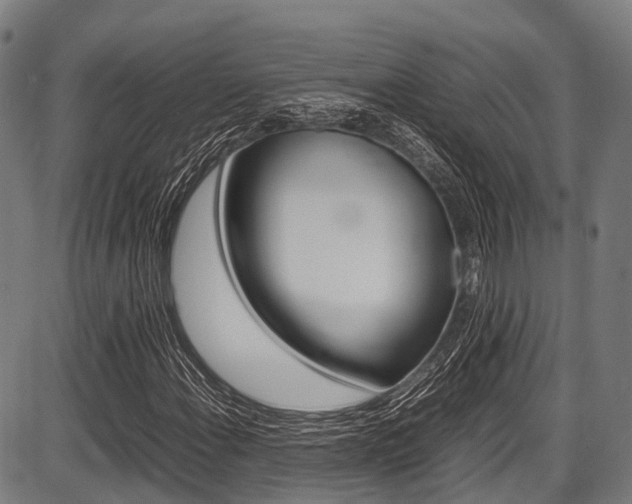 X0000087621108200704271130