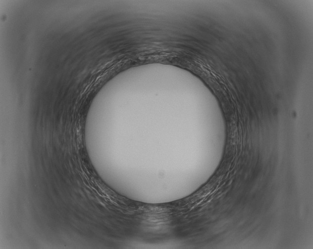 X0000087621109200704271130