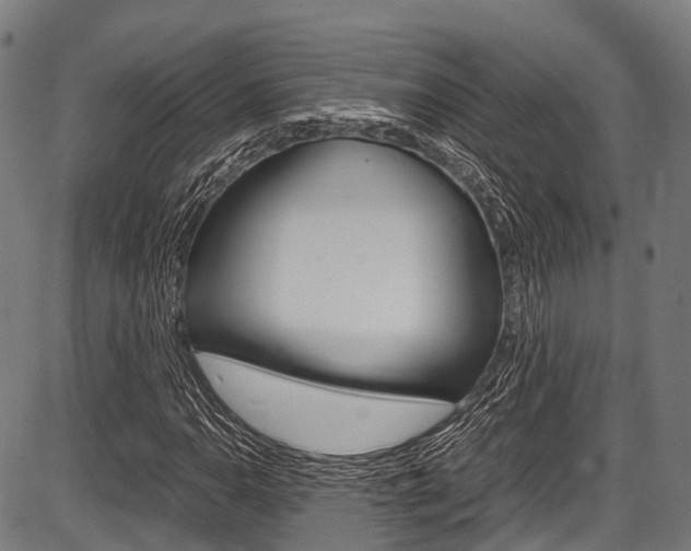 X0000087621110200704271130