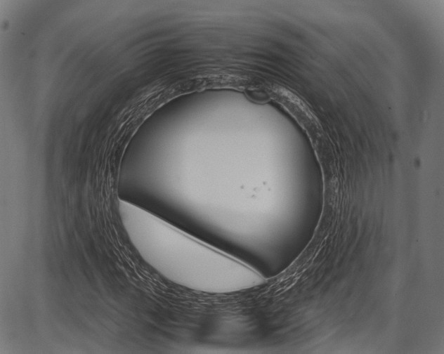 X0000087621111200704271130