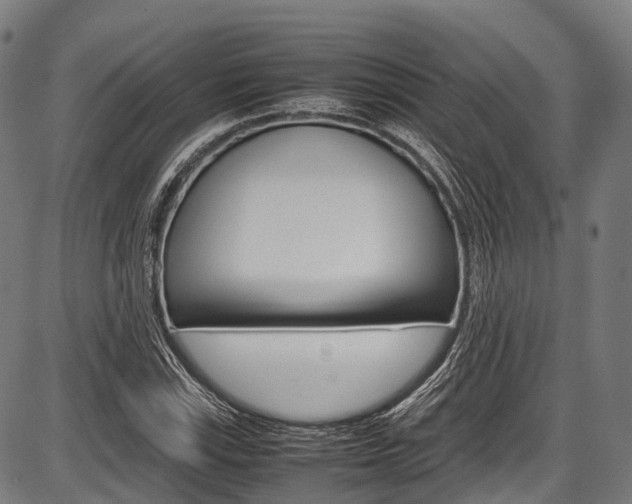 X0000087621115200704271130