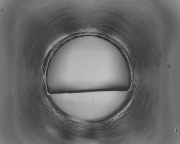 X0000087621117200704271130