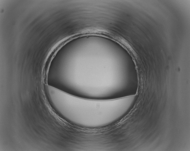 X0000087621124200704271130