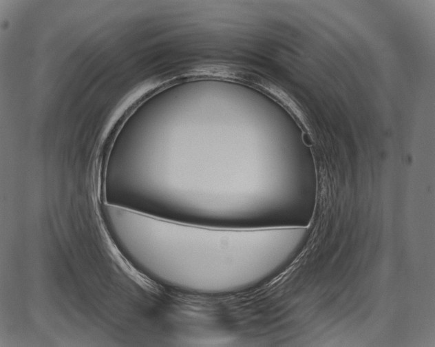X0000087621131200704271130