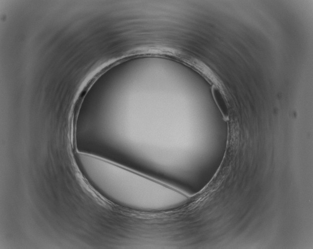 X0000087621132200704271130