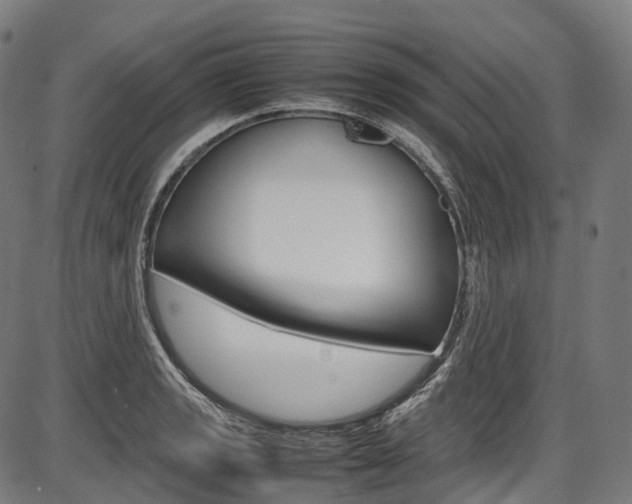 X0000087621133200704271130