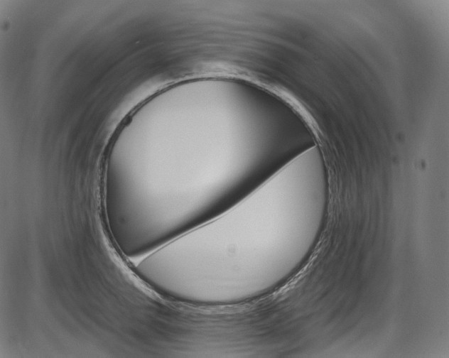 X0000087621142200704271130