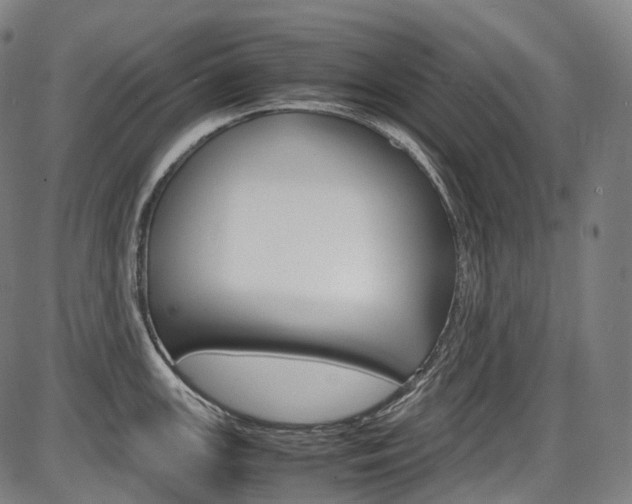 X0000087621147200704271130