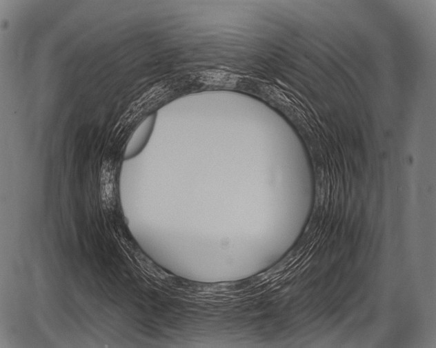 X0000087621154200704271130