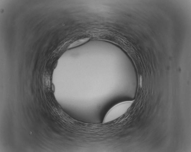X0000087621155200704271130