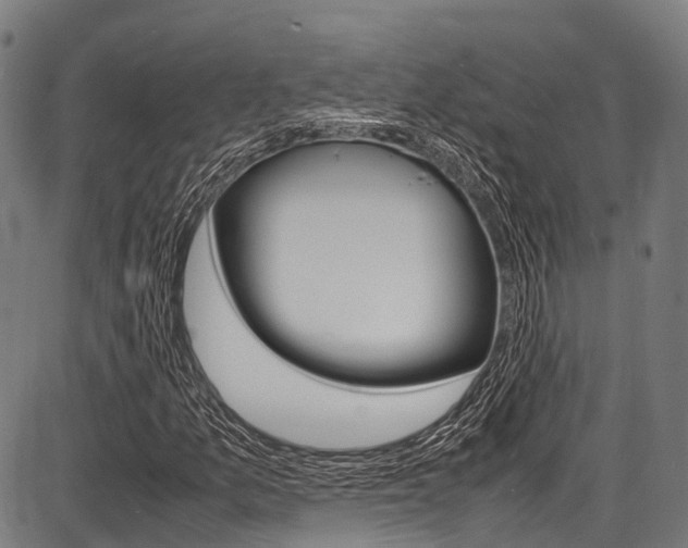 X0000087621157200704271130
